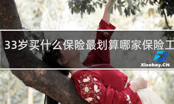 33岁买什么保险最划算哪家保险工司好