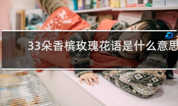 33朵香槟玫瑰花语是什么意思
