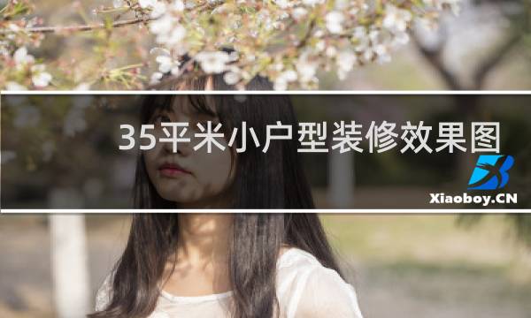 35平米小户型装修效果图