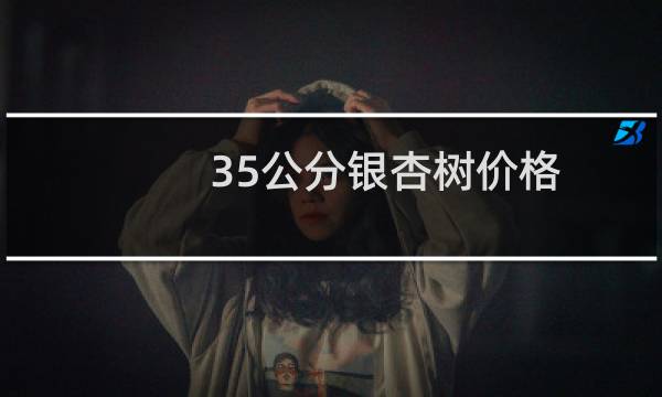 35公分银杏树价格