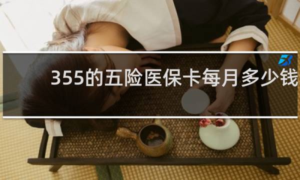 355的五险医保卡每月多少钱