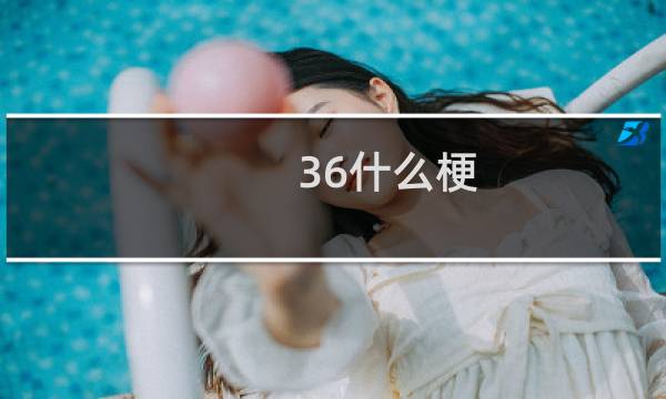36什么梗
