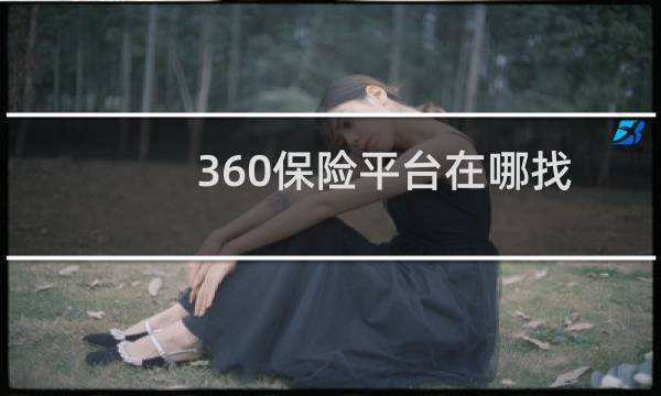 360保险平台在哪找