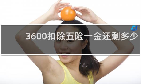 3600扣除五险一金还剩多少图片