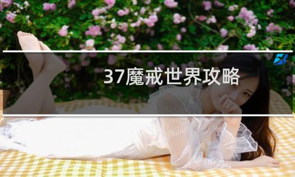 37魔戒世界攻略
