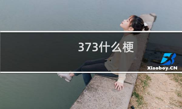 373什么梗