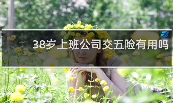 38岁上班公司交五险有用吗图片