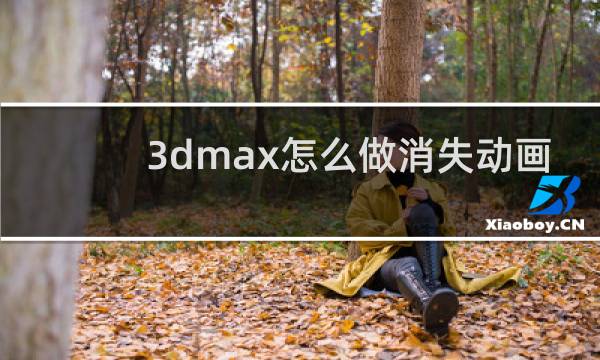 3dmax怎么做消失动画