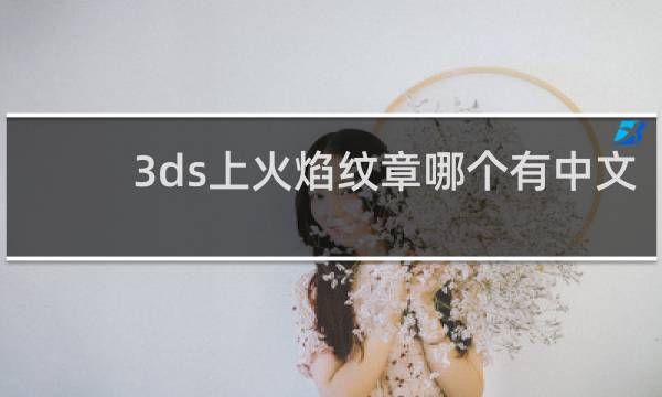 3ds上火焰纹章哪个有中文
