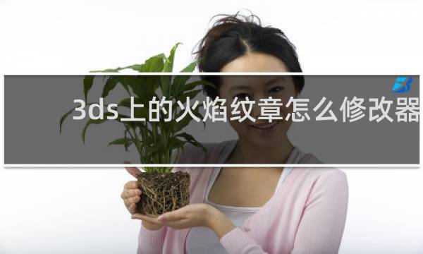 3ds上的火焰纹章怎么修改器