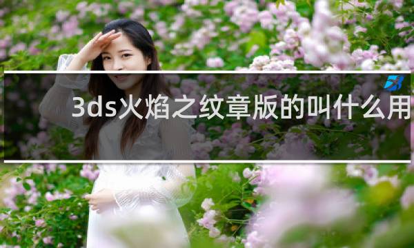 3ds火焰之纹章版的叫什么用