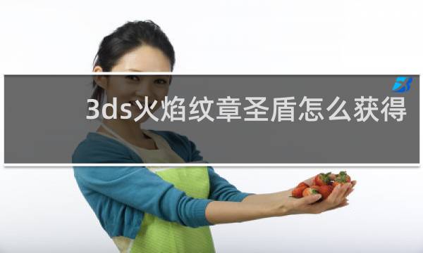 3ds火焰纹章圣盾怎么获得