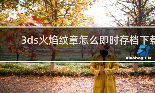 3ds火焰纹章怎么即时存档下载