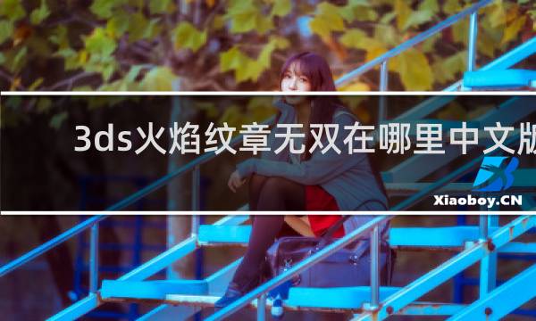 3ds火焰纹章无双在哪里中文版