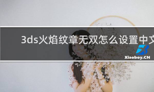 3ds火焰纹章无双怎么设置中文