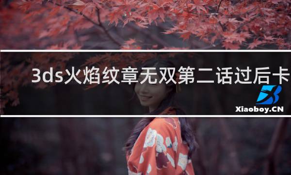 3ds火焰纹章无双第二话过后卡了