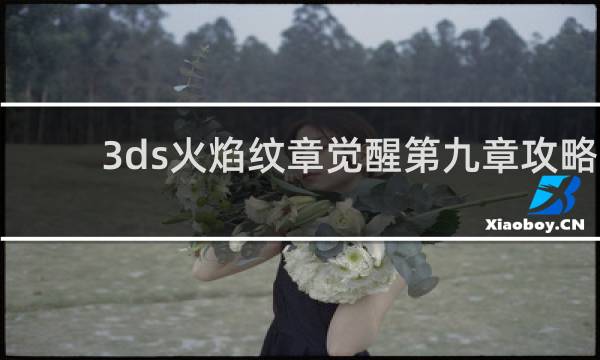 3ds火焰纹章觉醒第九章攻略