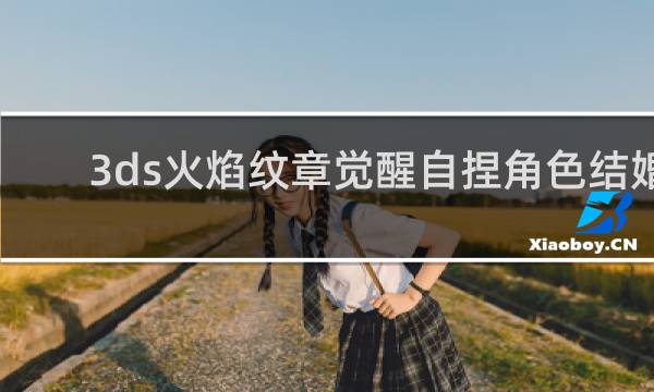 3ds火焰纹章觉醒自捏角色结婚