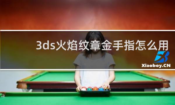 3ds火焰纹章金手指怎么用