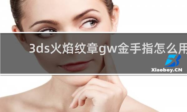 3ds火焰纹章gw金手指怎么用