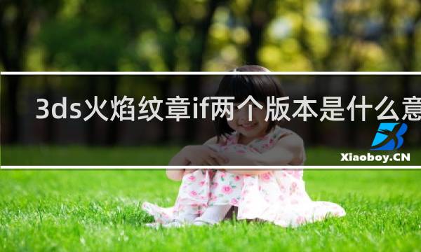 3ds火焰纹章if两个版本是什么意思