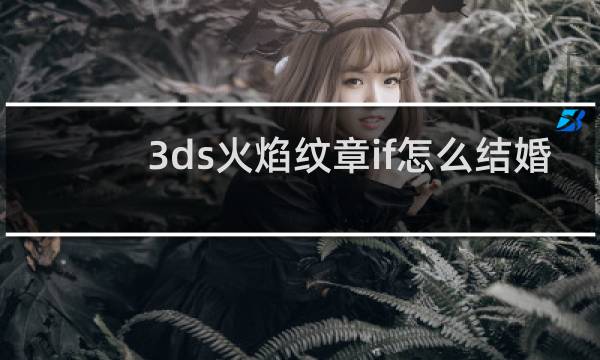 3ds火焰纹章if怎么结婚