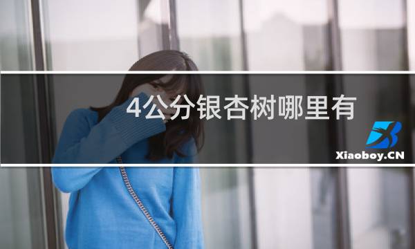 4公分银杏树哪里有