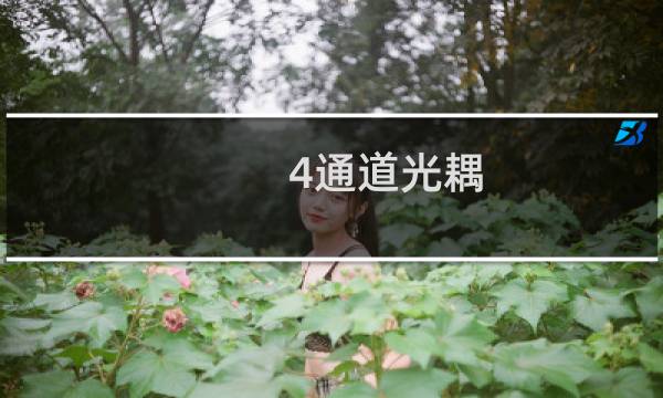 4通道光耦