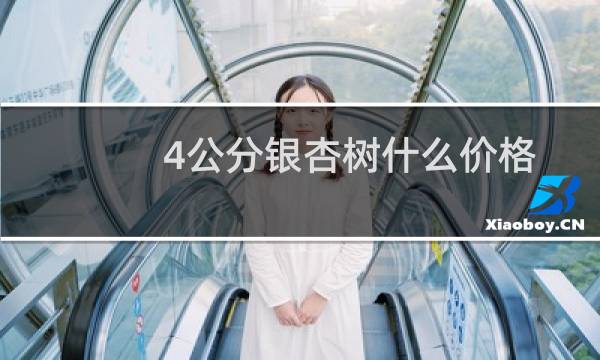 4公分银杏树什么价格