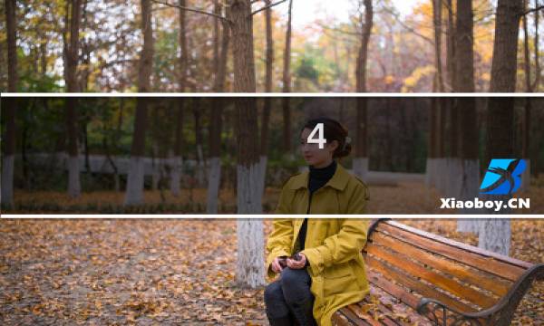 4.郎才女貌,瓜瓞延绵（郎才女貌,瓜瓞延绵是什么意思）图片