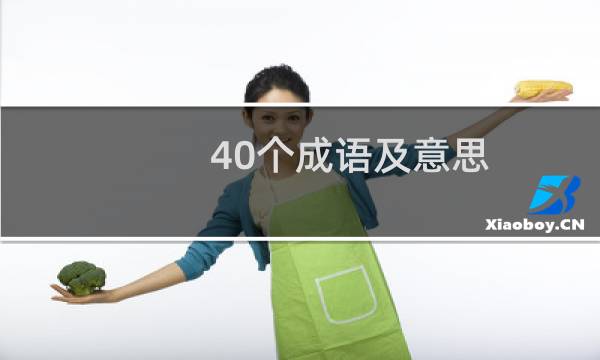 40个成语及意思