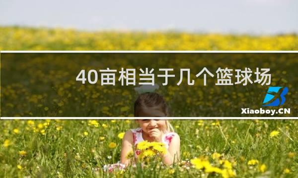 40亩相当于几个篮球场