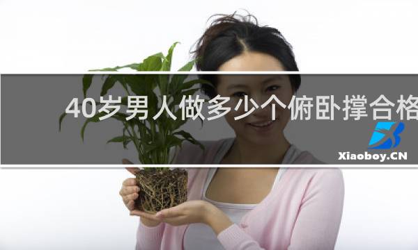 40岁男人做多少个俯卧撑合格