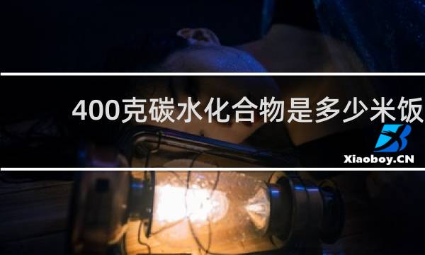 400克碳水化合物是多少米饭