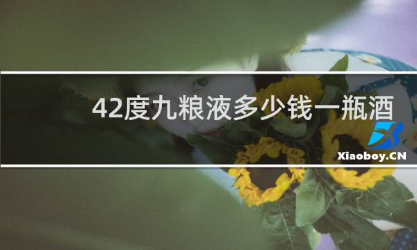 42度九粮液多少钱一瓶酒