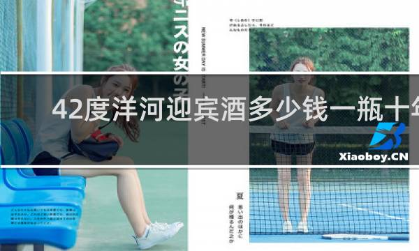 42度洋河迎宾酒多少钱一瓶十年