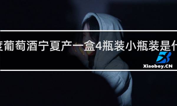 42度葡萄酒宁夏产一盒4瓶装小瓶装是什么品牌的