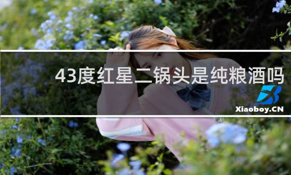 43度红星二锅头是纯粮酒吗