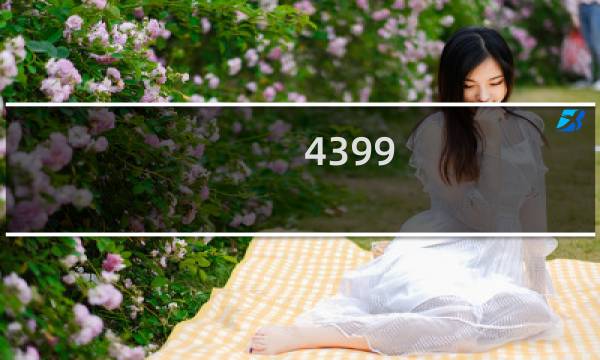 4399 单人游戏.