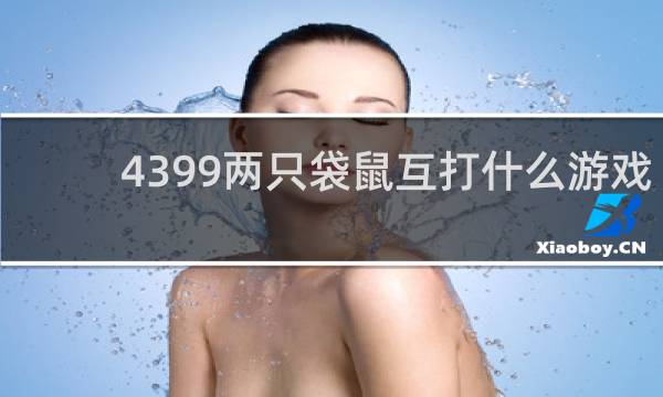 4399两只袋鼠互打什么游戏