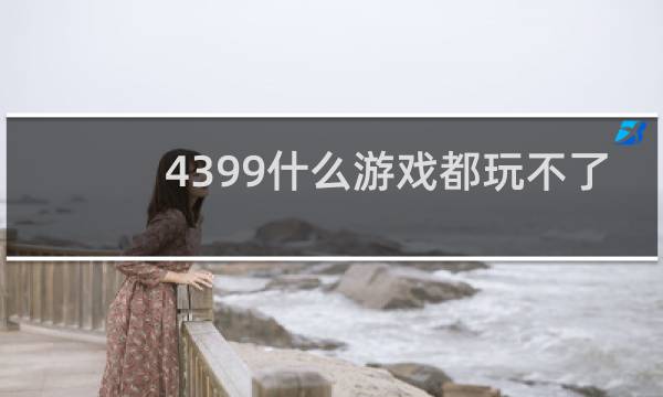 4399什么游戏都玩不了