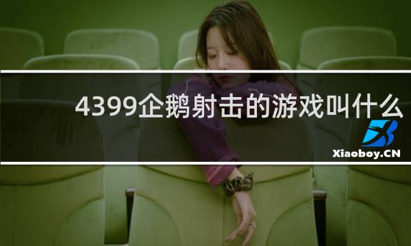4399企鹅射击的游戏叫什么