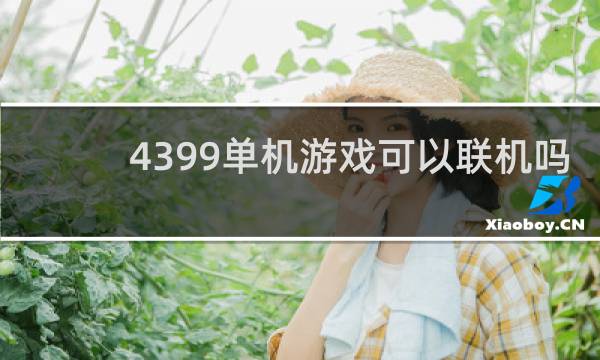 4399单机游戏可以联机吗