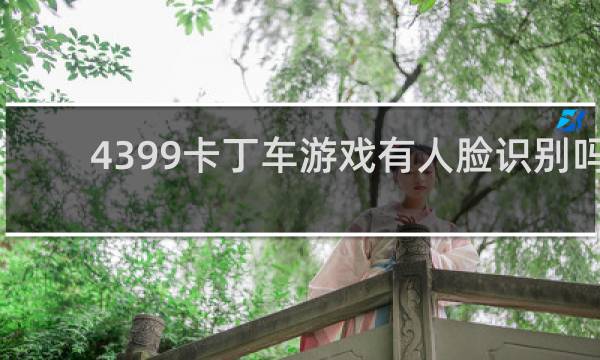 4399卡丁车游戏有人脸识别吗