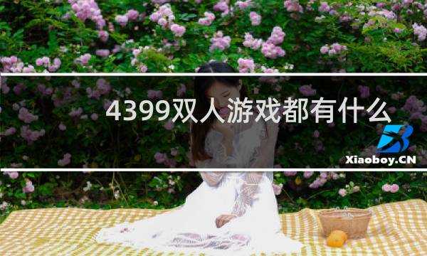 4399双人游戏都有什么