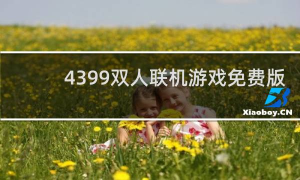 4399双人联机游戏免费版