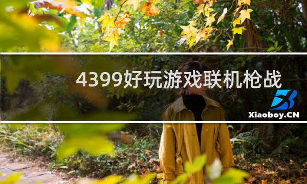 4399好玩游戏联机枪战