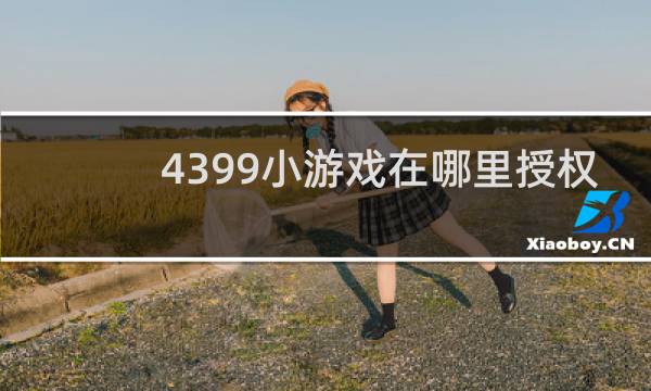 4399小游戏在哪里授权