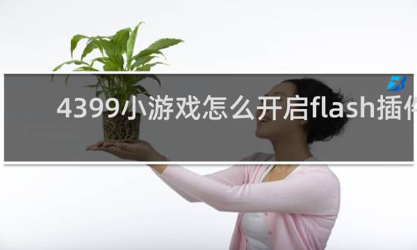 4399小游戏怎么开启flash插件