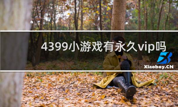 4399小游戏有永久vip吗